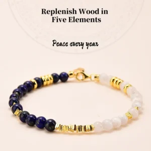 Lucky Follow – Five Elements Metal Water Element Protection Bracelet
