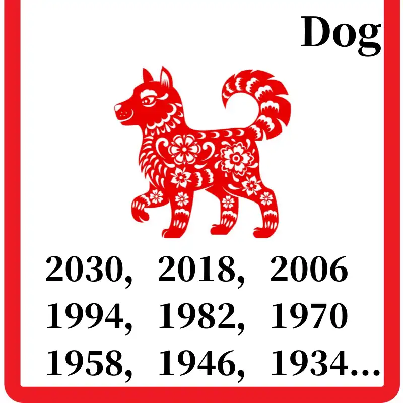 Dog Zodiac Sign