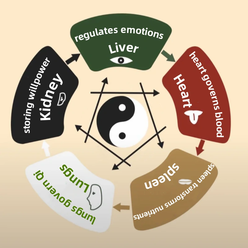 The Five Elements in TCM