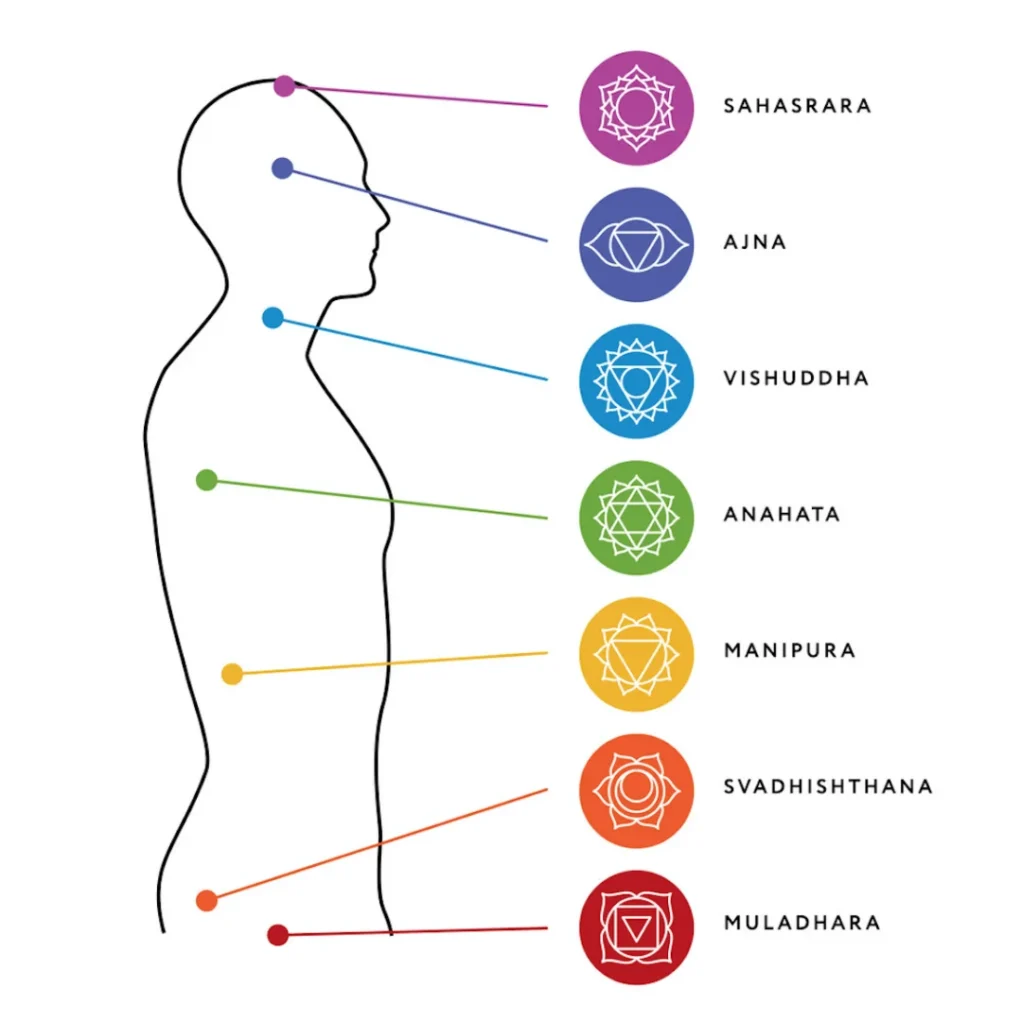 Side profile diagram showing the seven chakras aligned along the human spine