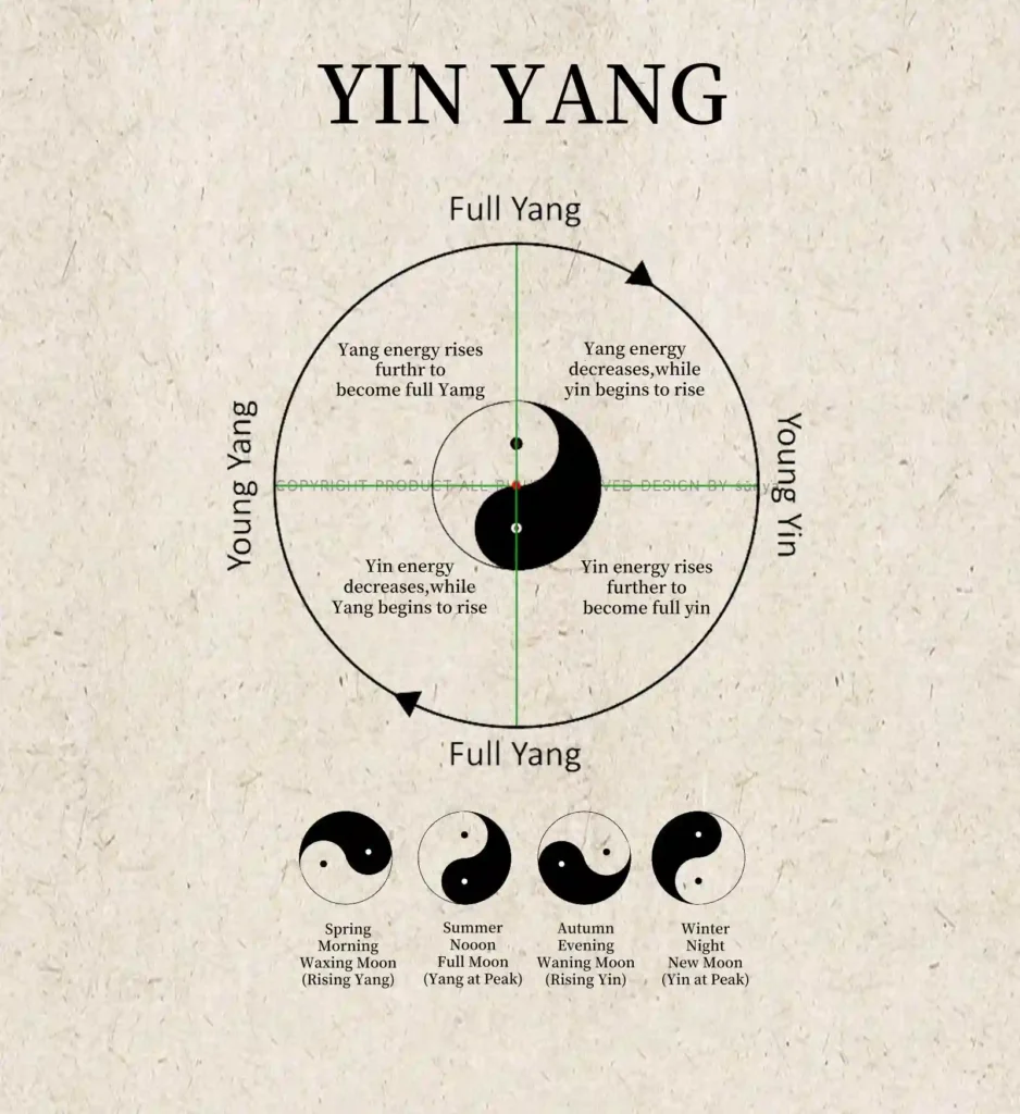 Yin and Yang cycle chart showing seasonal and moon phase transitions from rising Yang in spring to peak Yin in winter.