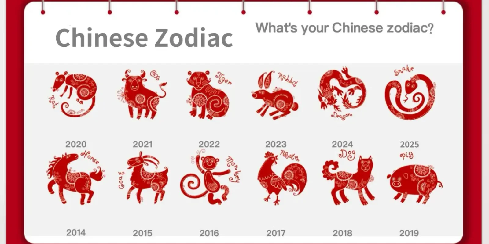 2025 Chinese Zodiac Predictions: What’s in Store for Your Wealth, Love, and Career?