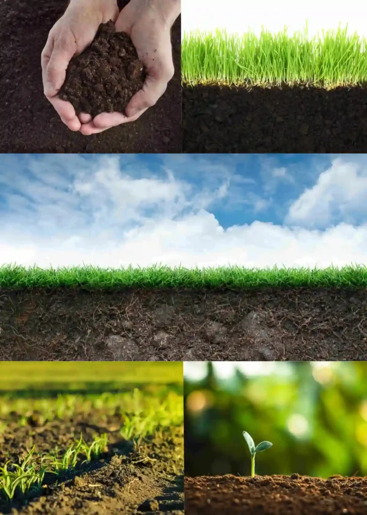 Collage of earth - related images representing the Five Elements' Earth energy: hands with soil symbolizing nourishment, grass and soil layers showing grounding and stability, seedlings and fields depicting growth and renewal, illustrating core traits for Feng Shui, astrology, and balance in life.